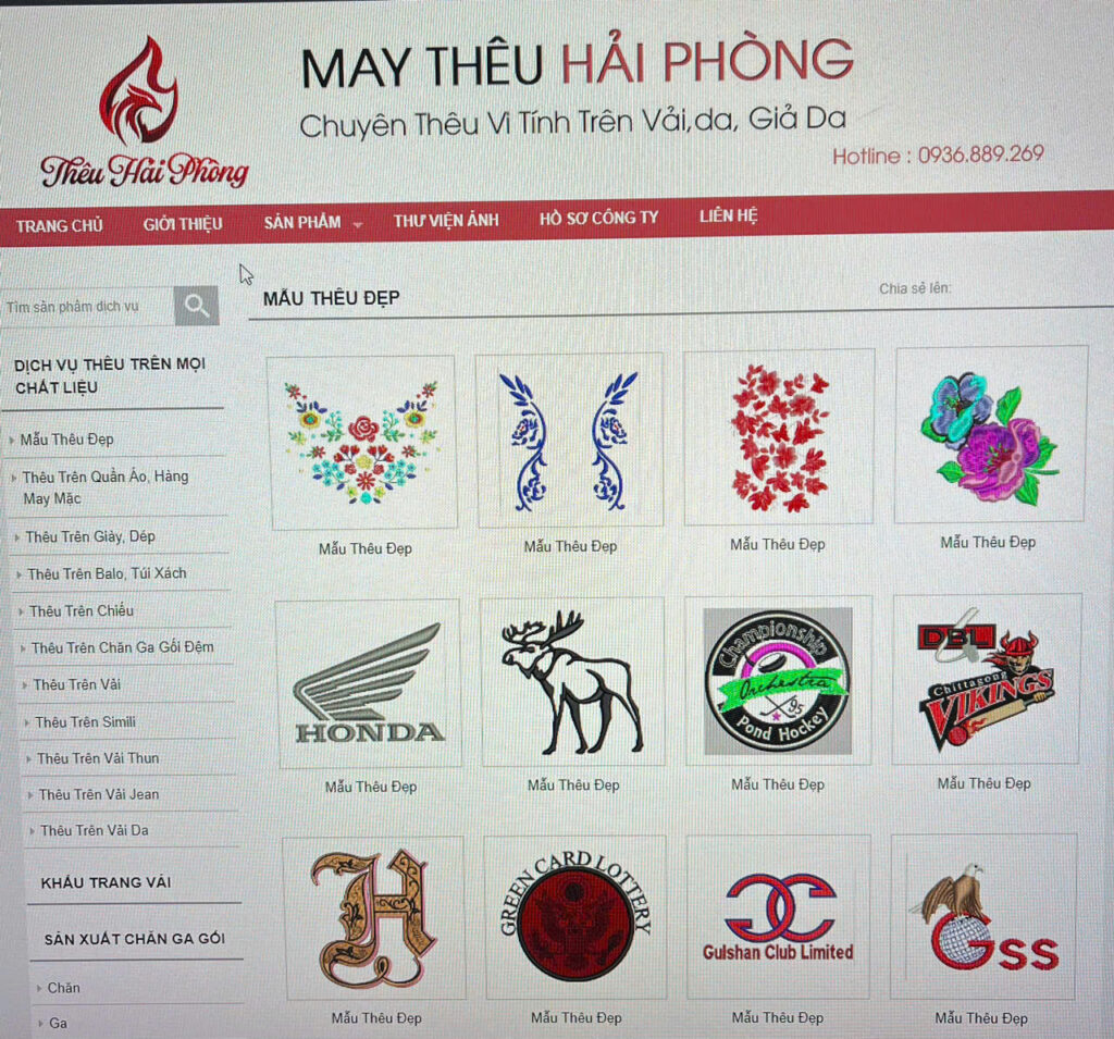 theu vi tinh o hai phong